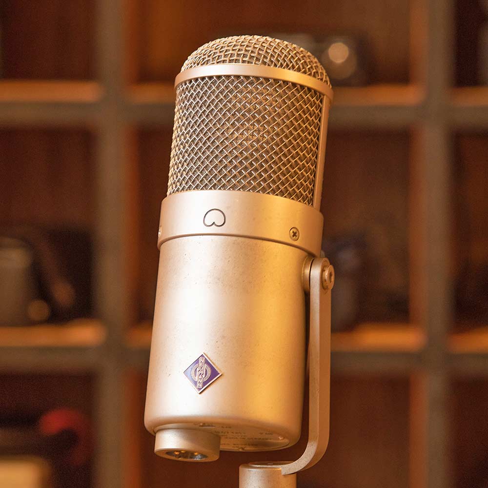 Echotown Studio Vintage Recording Studio – Microphones