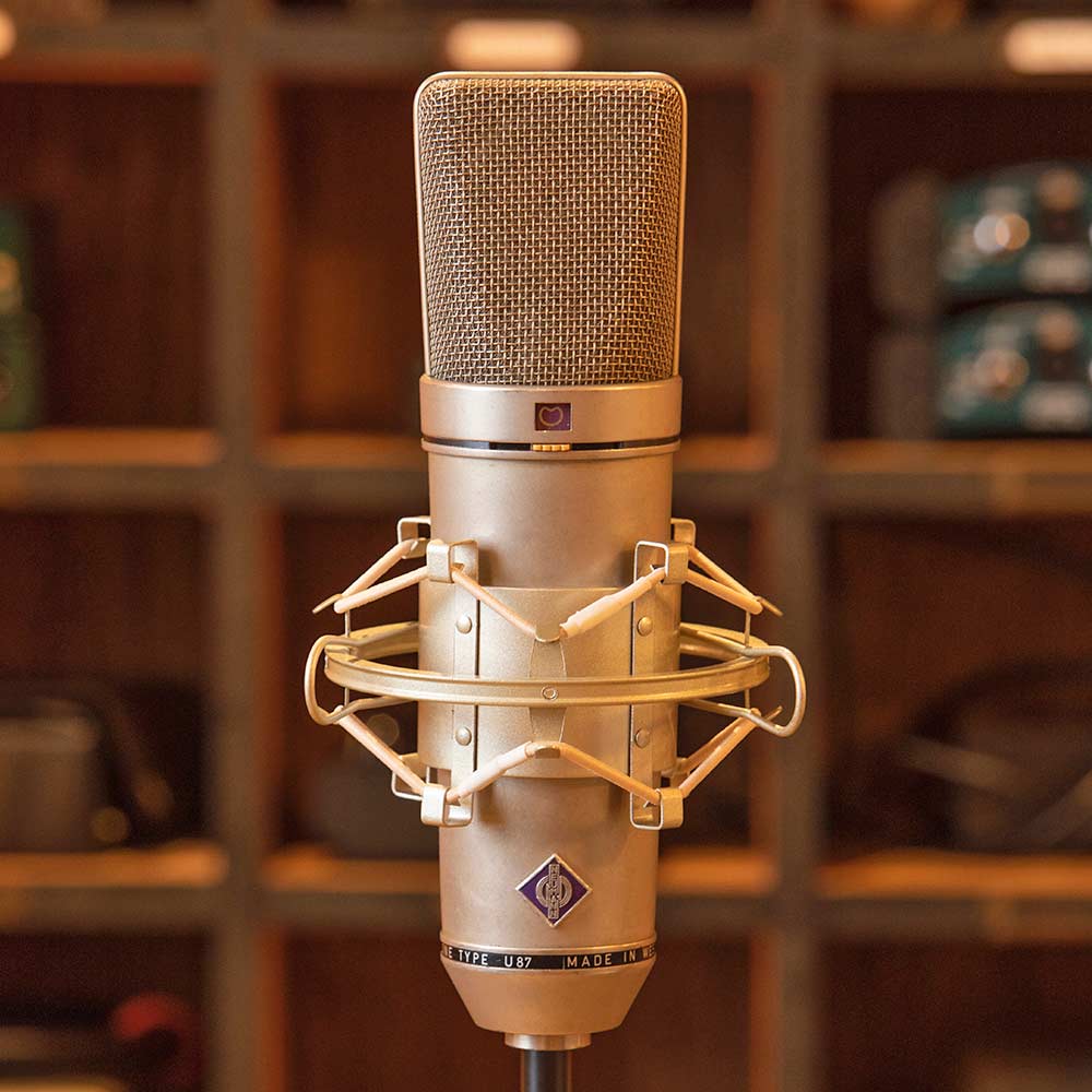 Echotown Studio Vintage Recording Studio – Microphones